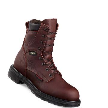 Bottes de Travail Red Wing SuperSole® 2.0 8-inch Imperméables Soft Embout Homme Cafe | FR67BEX