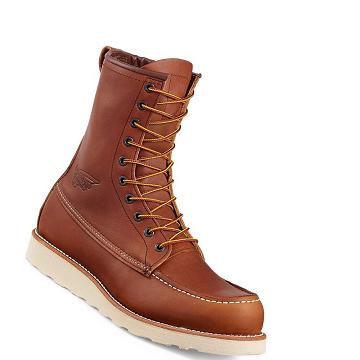 Bottes de Travail Red Wing Traction Tred 8-inch Soft Embout Homme Cafe | FR80AHK